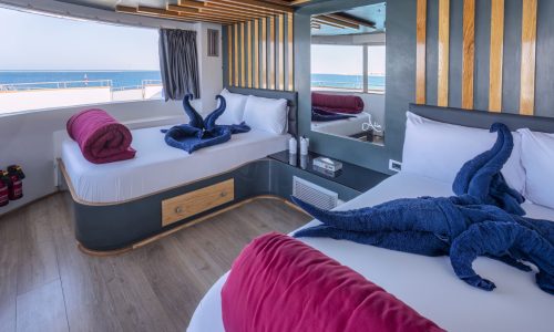 Premium Cabin Upper Deck Dune Silky