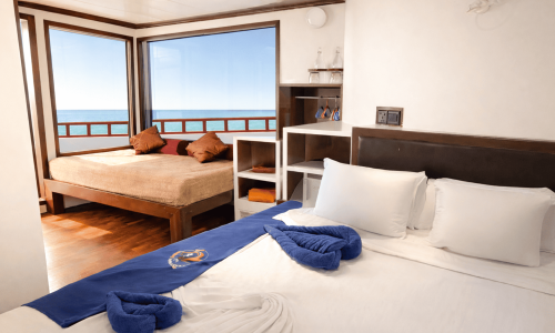 Superior Cabin Dune Theia 1 (1)